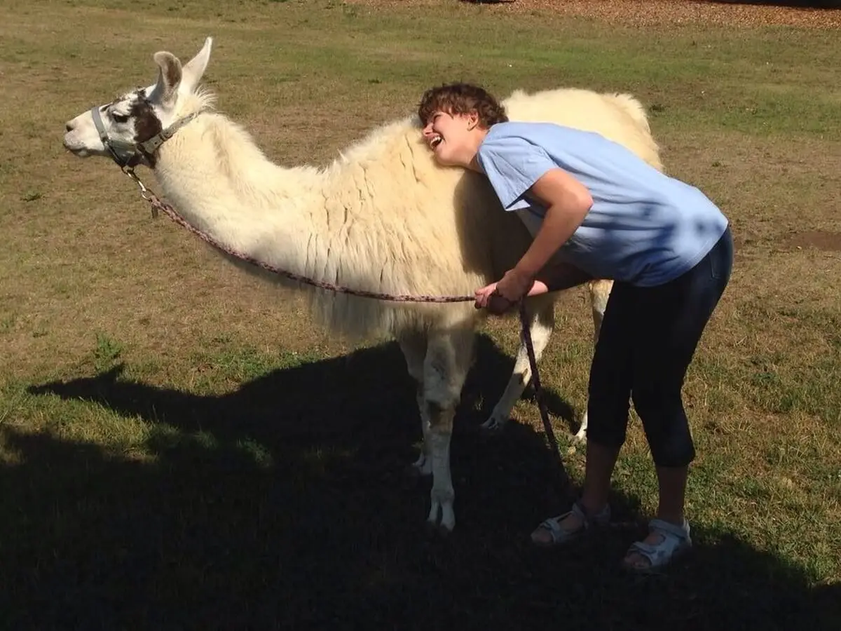 ferienohnehandicap-camp-I-2017_lamas_051