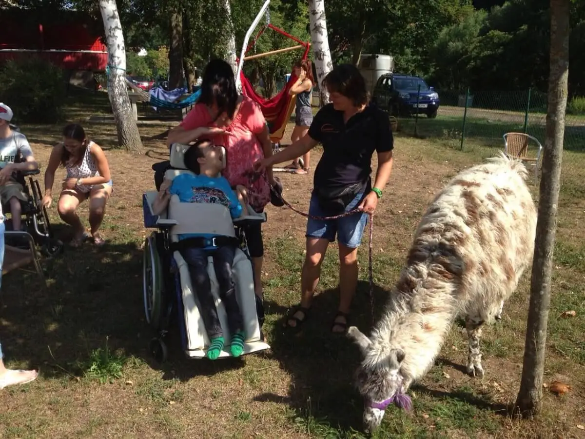 ferienohnehandicap-camp-I-2017_lamas_052