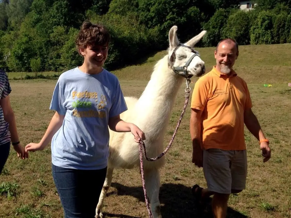 ferienohnehandicap-camp-I-2017_lamas_053