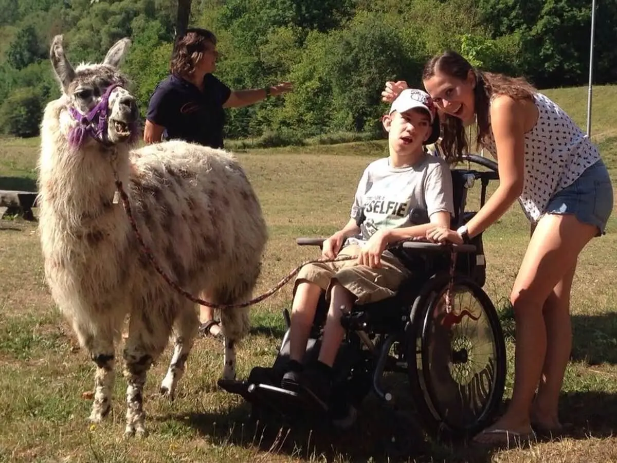 ferienohnehandicap-camp-I-2017_lamas_054