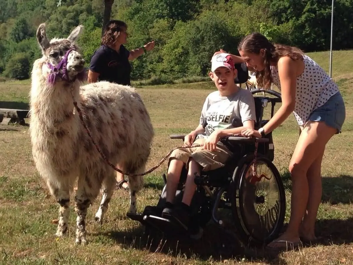 ferienohnehandicap-camp-I-2017_lamas_055