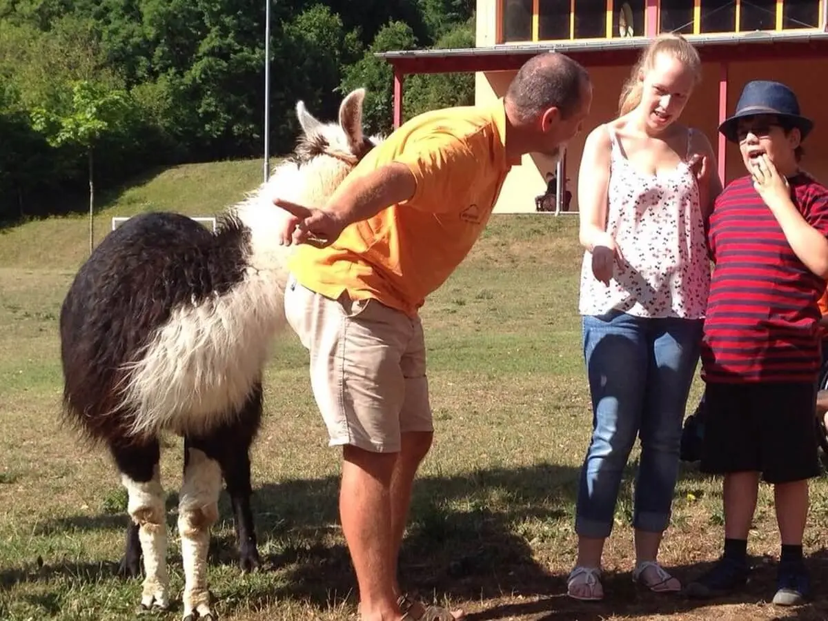 ferienohnehandicap-camp-I-2017_lamas_057