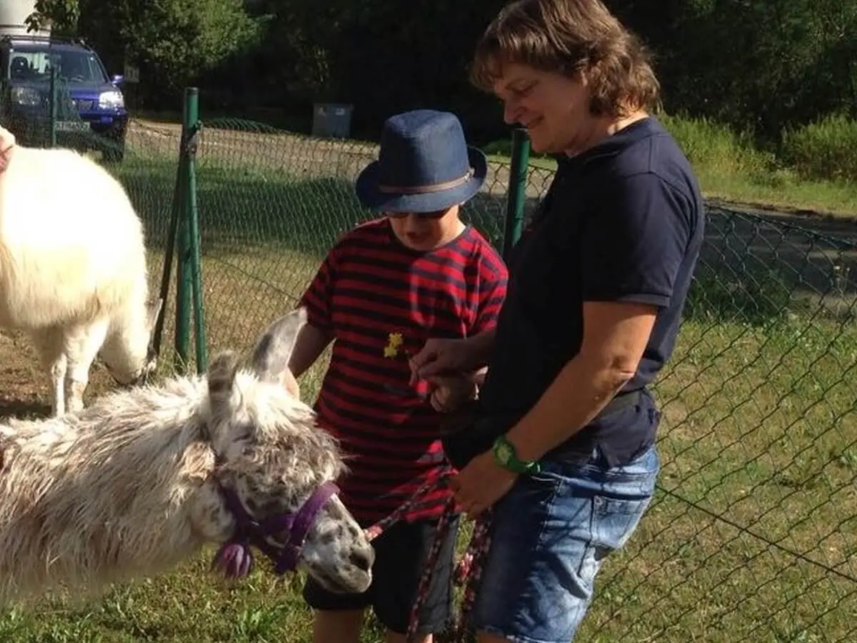 ferienohnehandicap-camp-I-2017_lamas_058