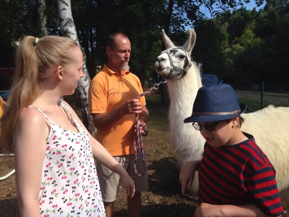 ferienohnehandicap-camp-I-2017_lamas_060