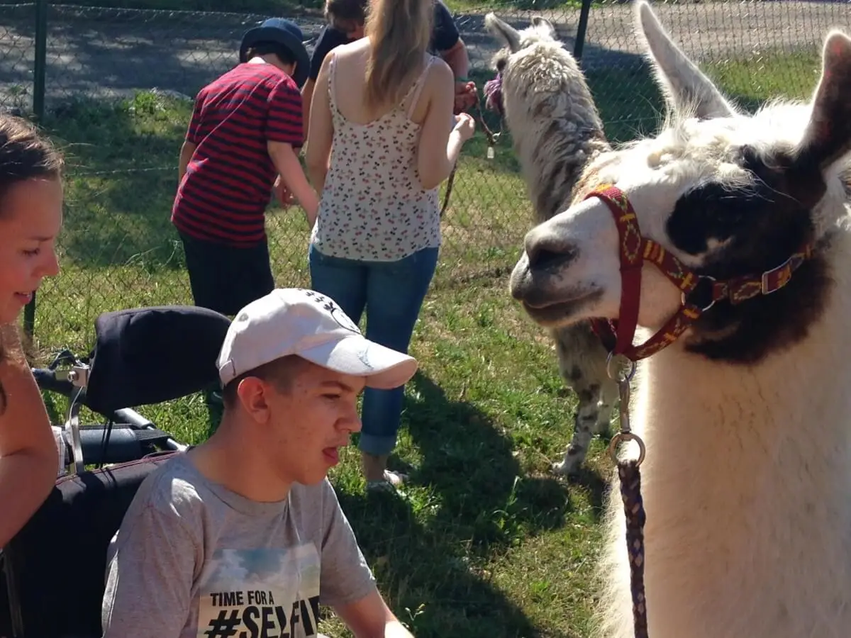 ferienohnehandicap-camp-I-2017_lamas_062
