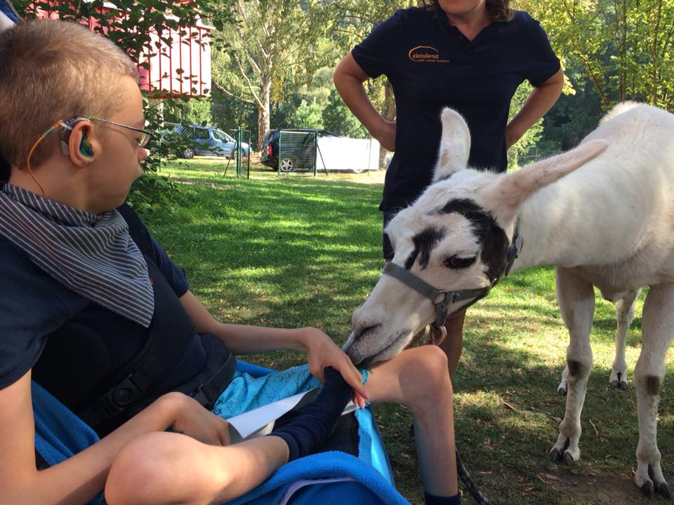 ferienohnehandicap-camp-I-2018_allerlei_007