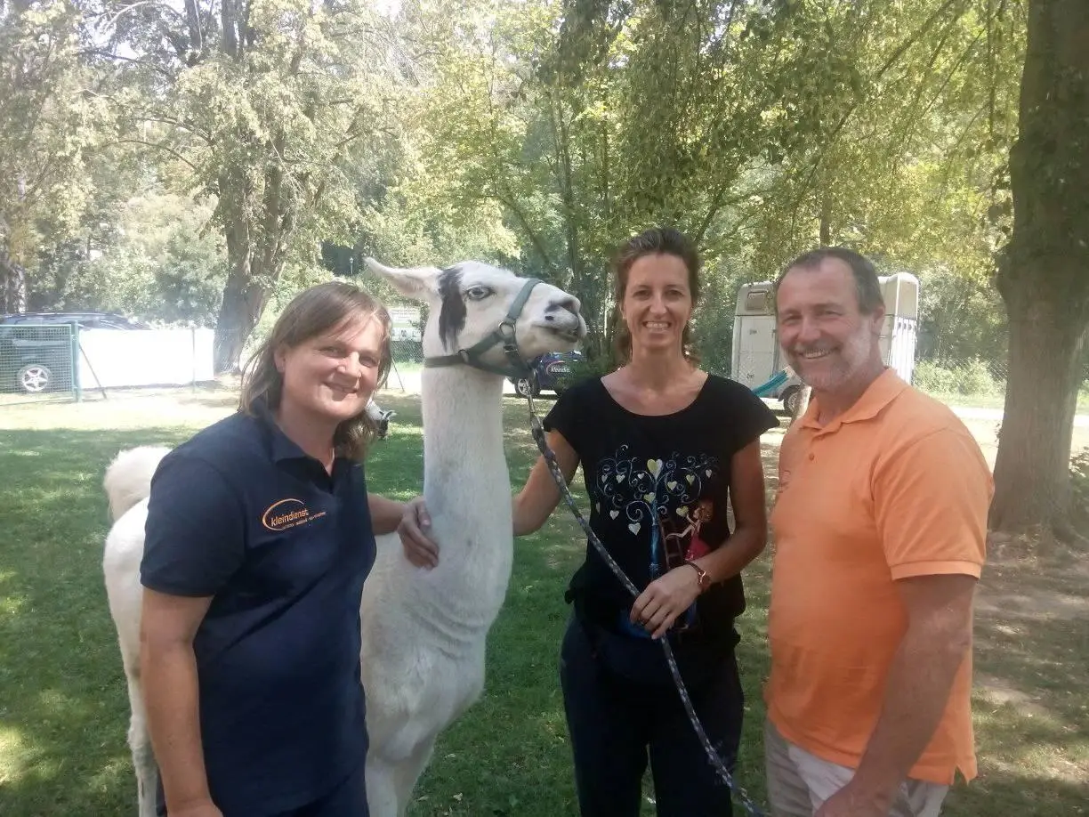 ferienohnehandicap-camp-I-2018_lamas_001