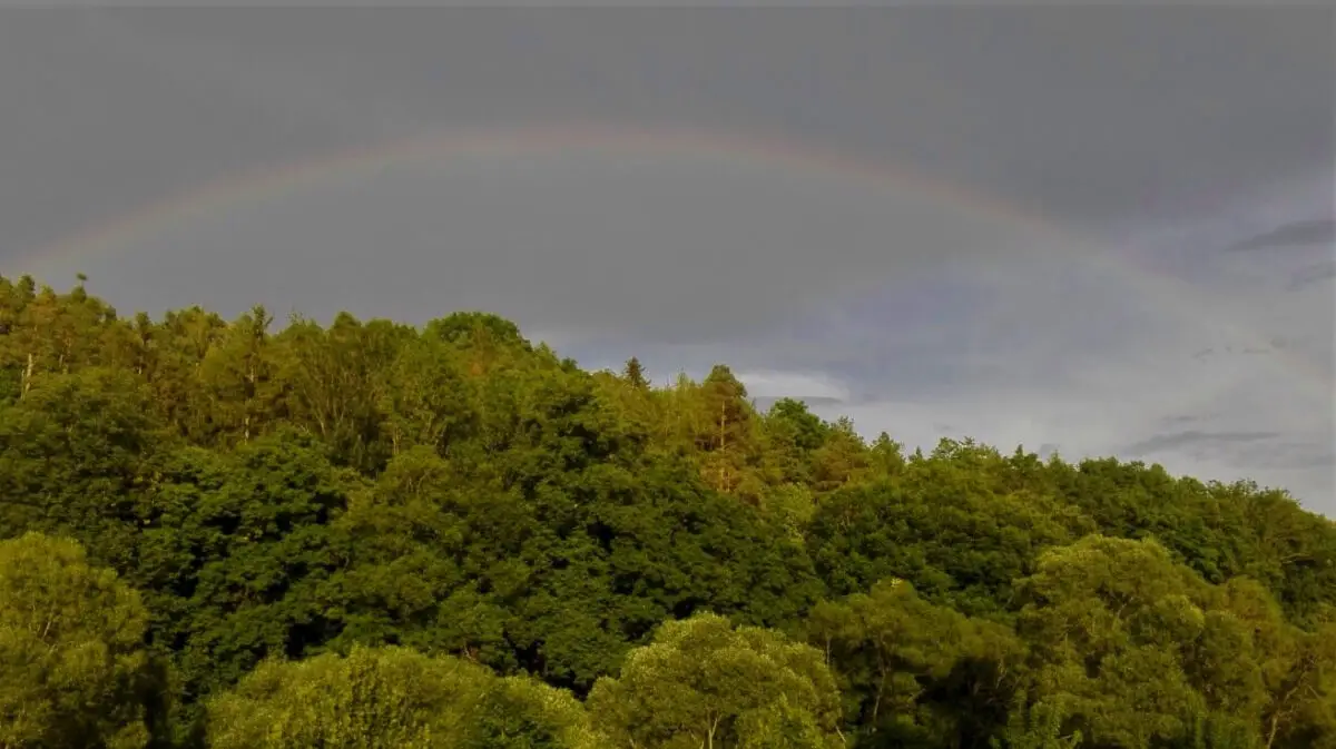 ferienohnehandicap-camp-II-2017_ankommen_021