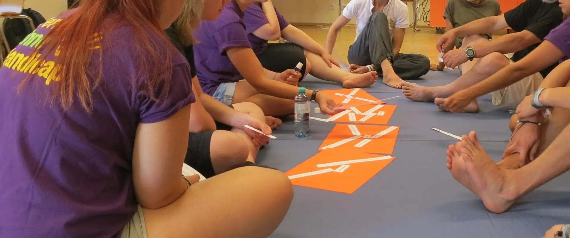 ferienohnehandicap-camp-II-2017_betreueranreise_013