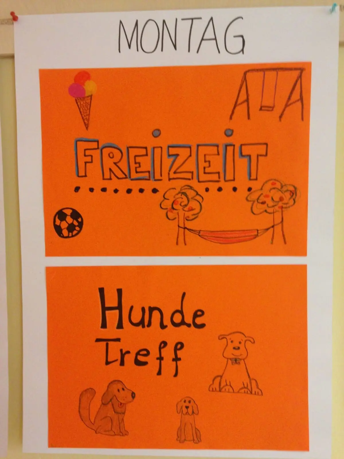 ferienohnehandicap-camp-II-2017_hunde_001