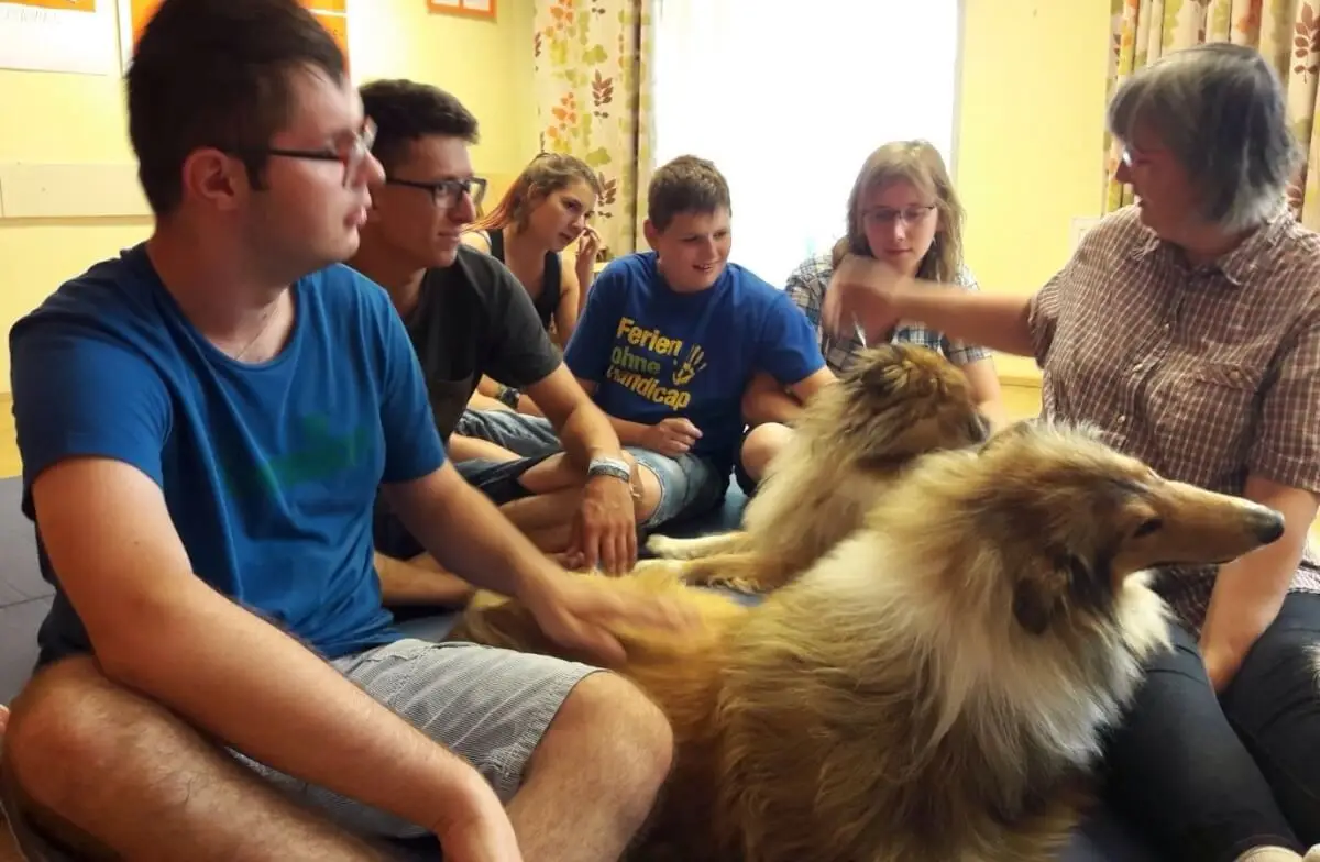 ferienohnehandicap-camp-II-2017_hunde_007