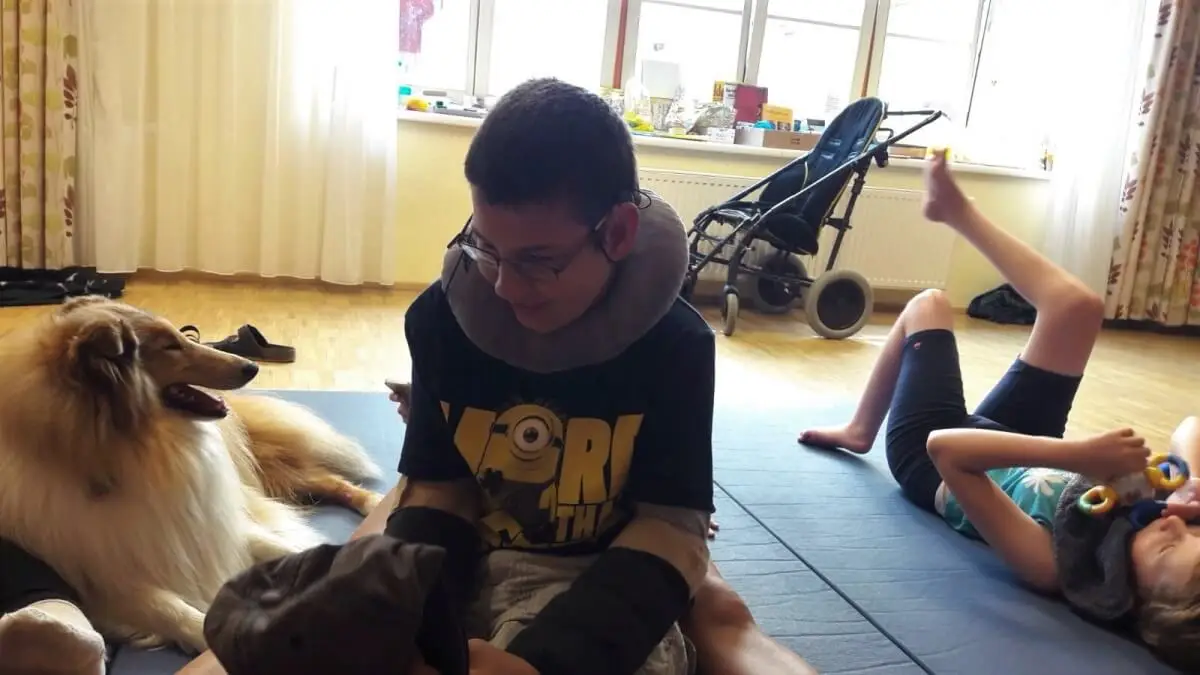 ferienohnehandicap-camp-II-2017_hunde_008