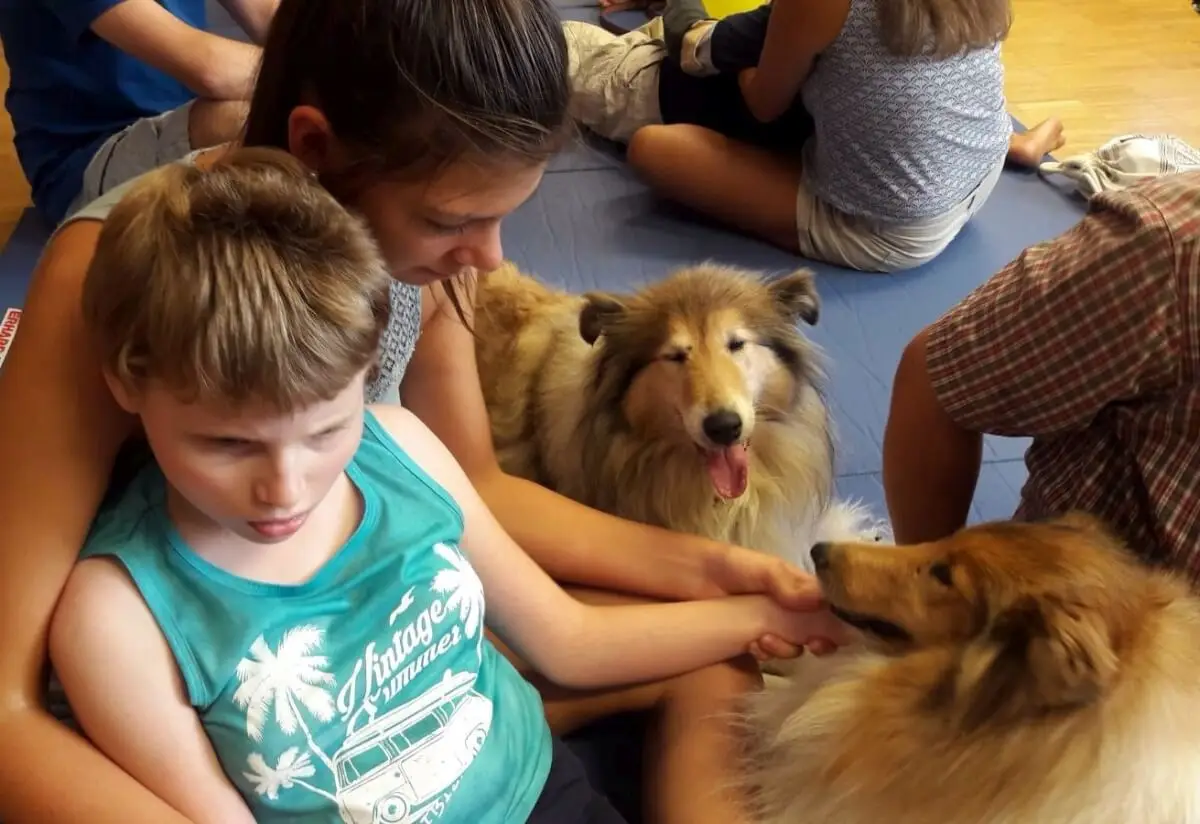 ferienohnehandicap-camp-II-2017_hunde_012