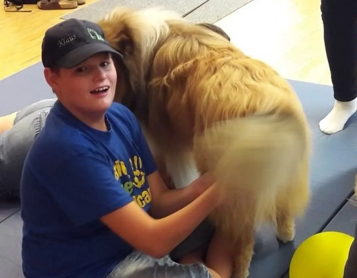 ferienohnehandicap-camp-II-2017_hunde_013