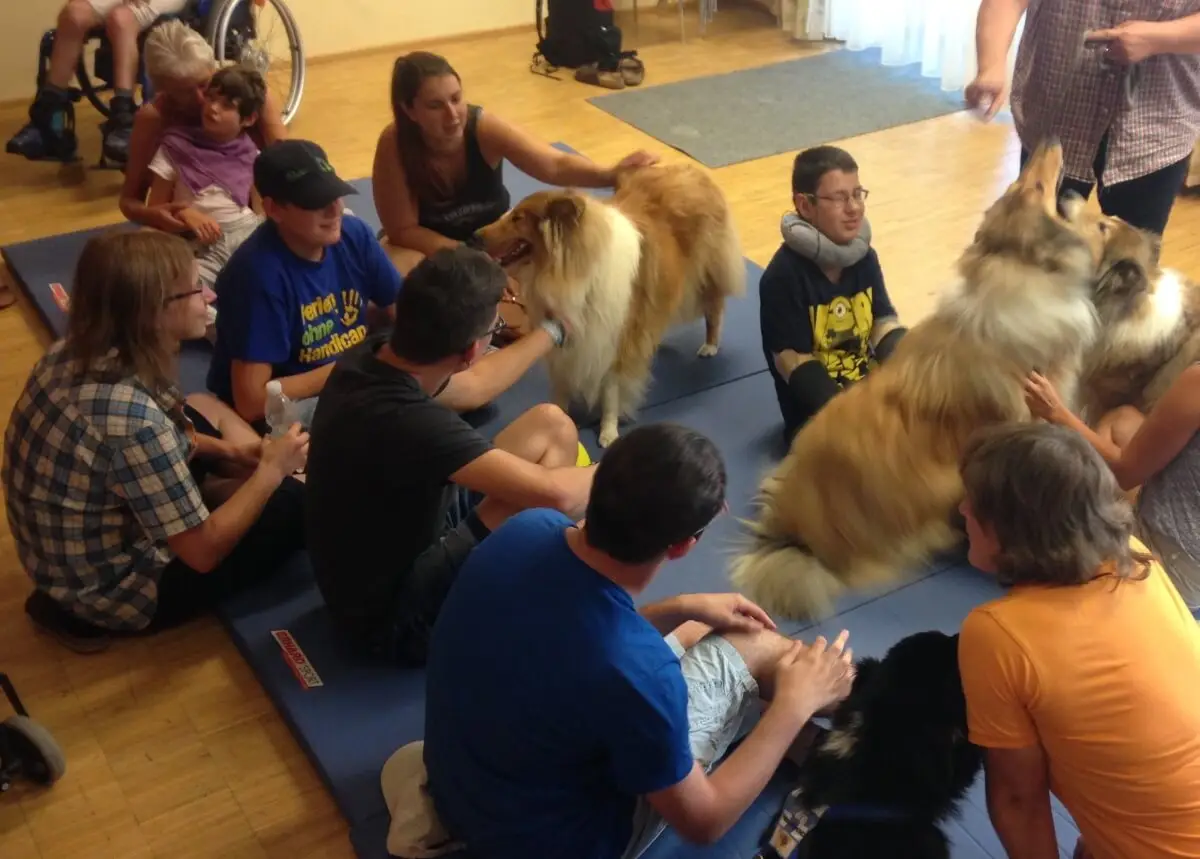 ferienohnehandicap-camp-II-2017_hunde_027