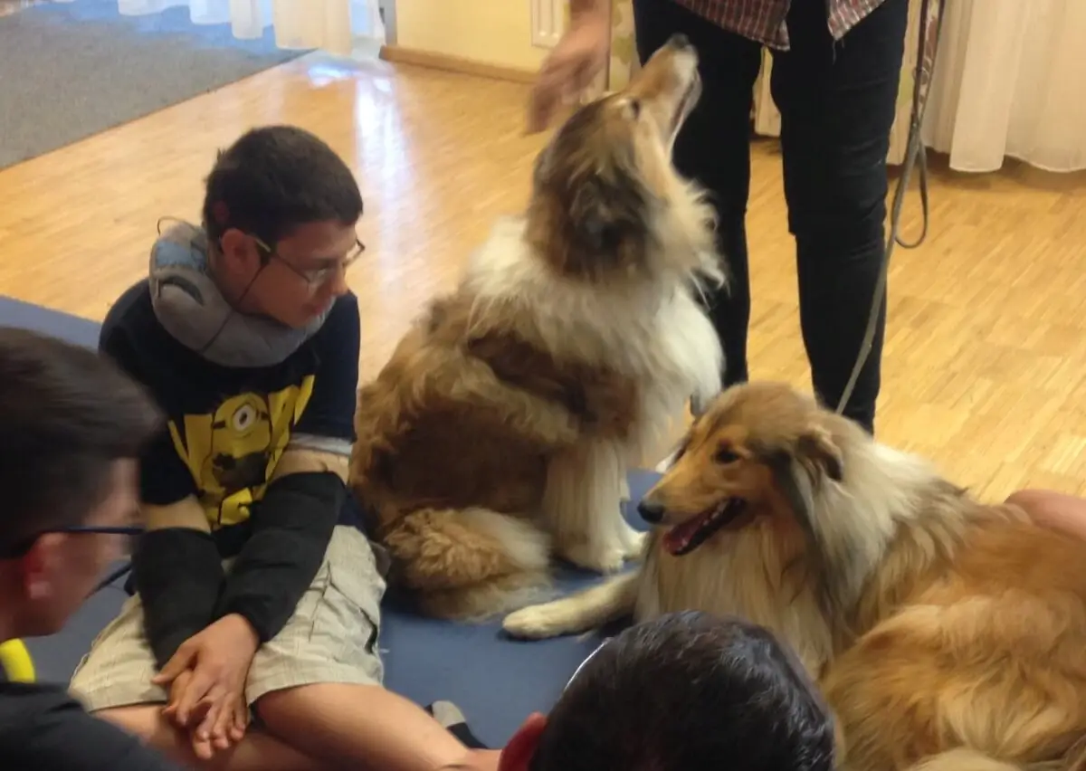 ferienohnehandicap-camp-II-2017_hunde_028