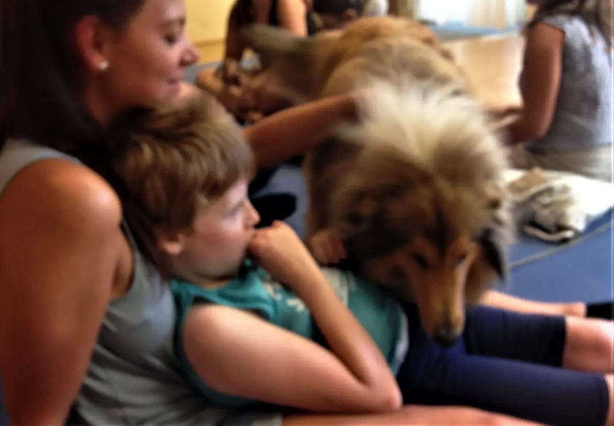 ferienohnehandicap-camp-II-2017_hunde_030