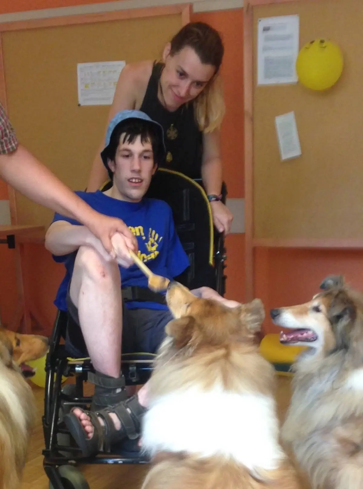 ferienohnehandicap-camp-II-2017_hunde_034