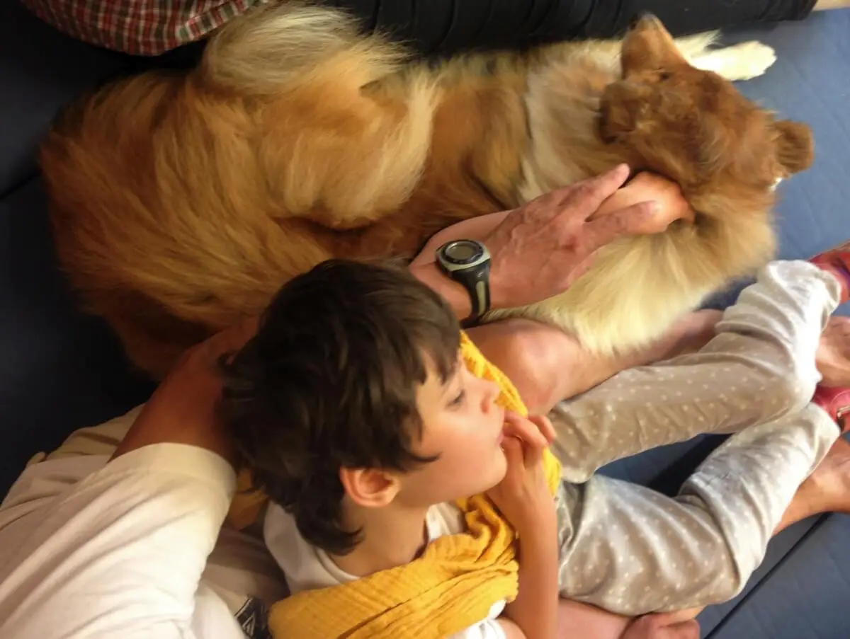 ferienohnehandicap-camp-II-2017_hunde_035