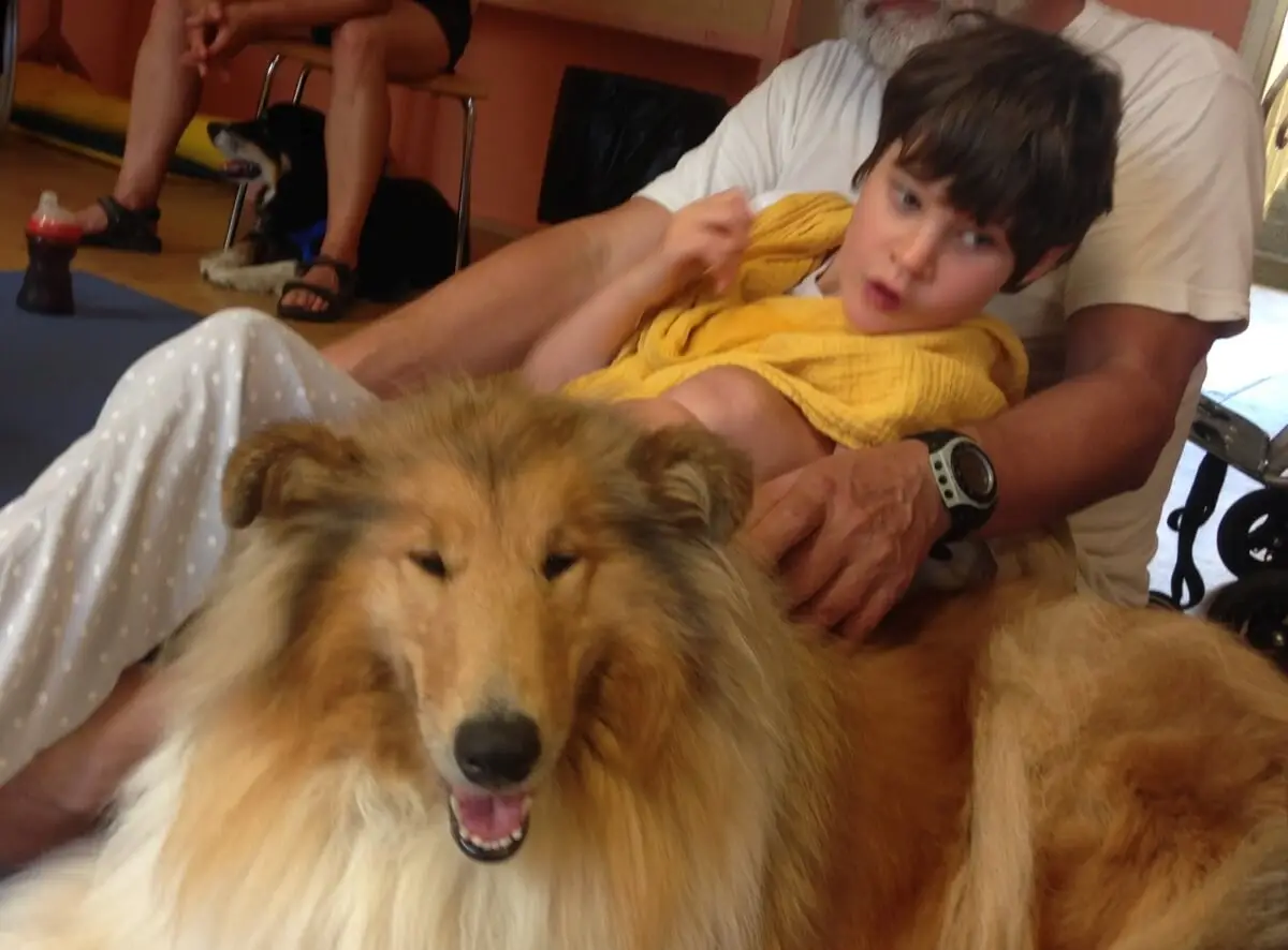 ferienohnehandicap-camp-II-2017_hunde_036