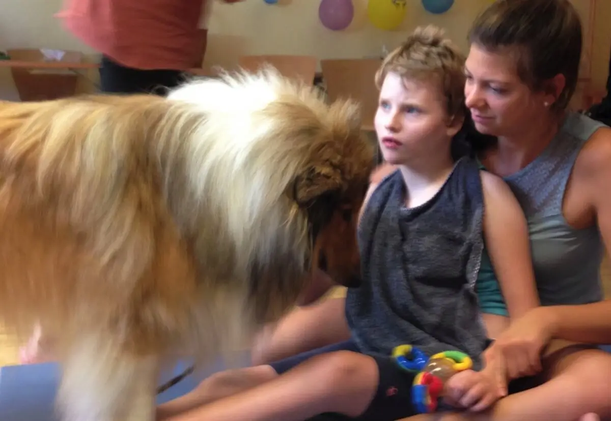 ferienohnehandicap-camp-II-2017_hunde_037