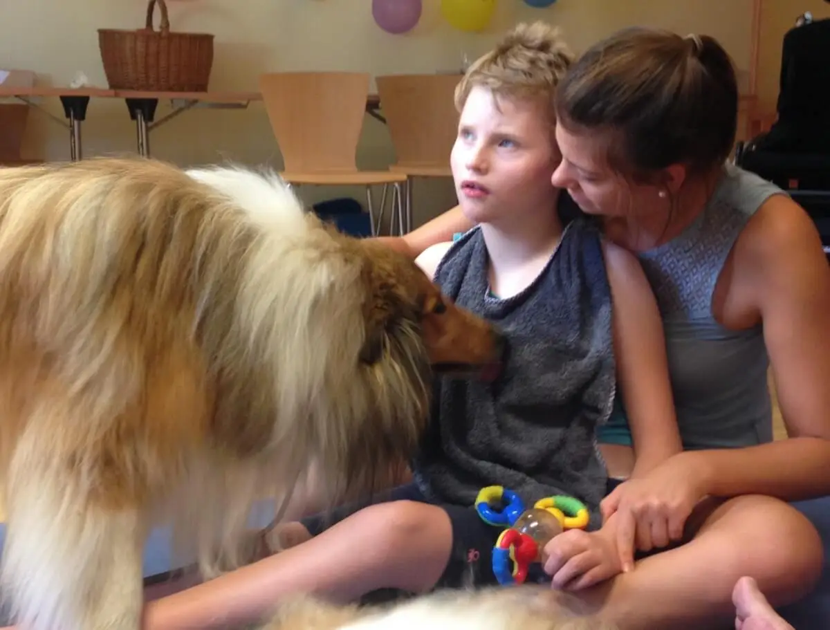 ferienohnehandicap-camp-II-2017_hunde_038