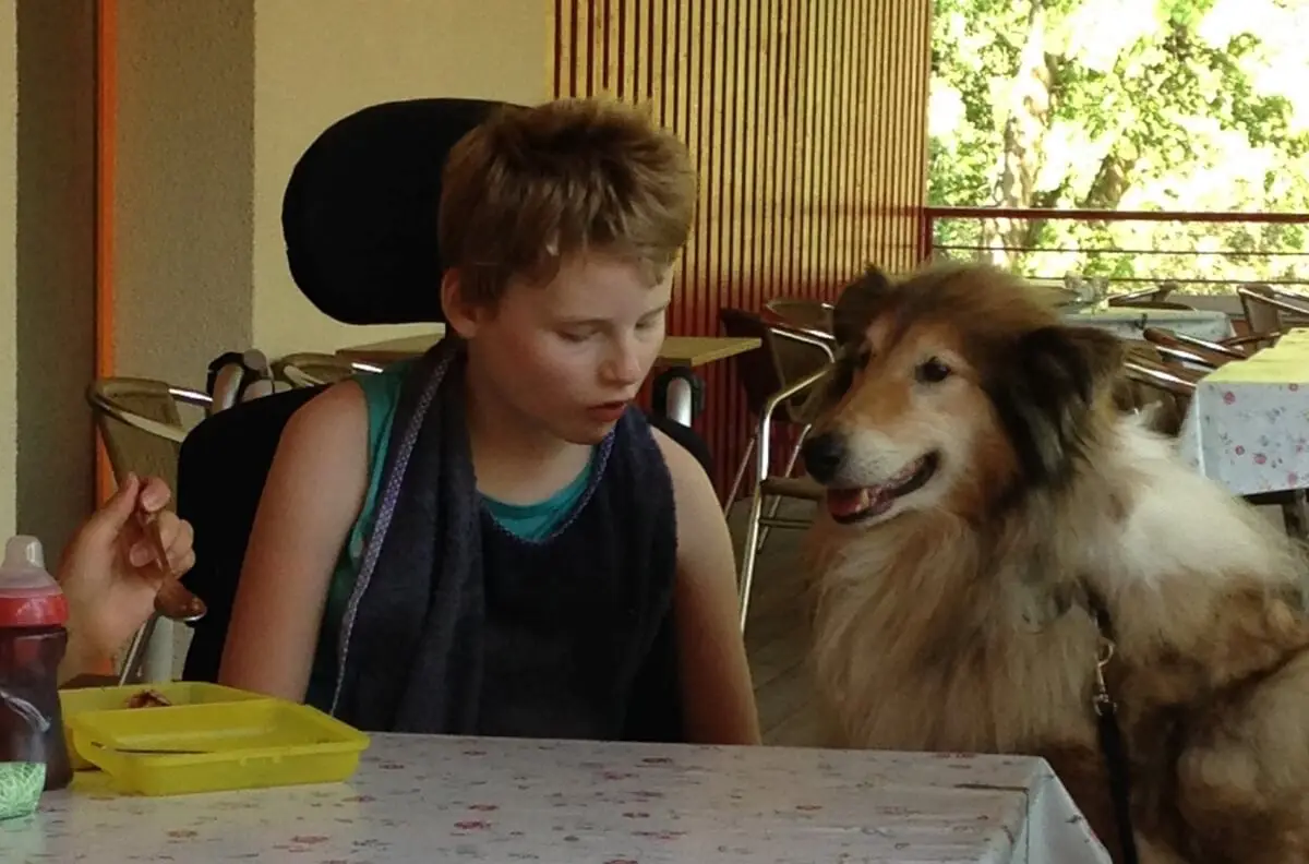 ferienohnehandicap-camp-II-2017_hunde_040