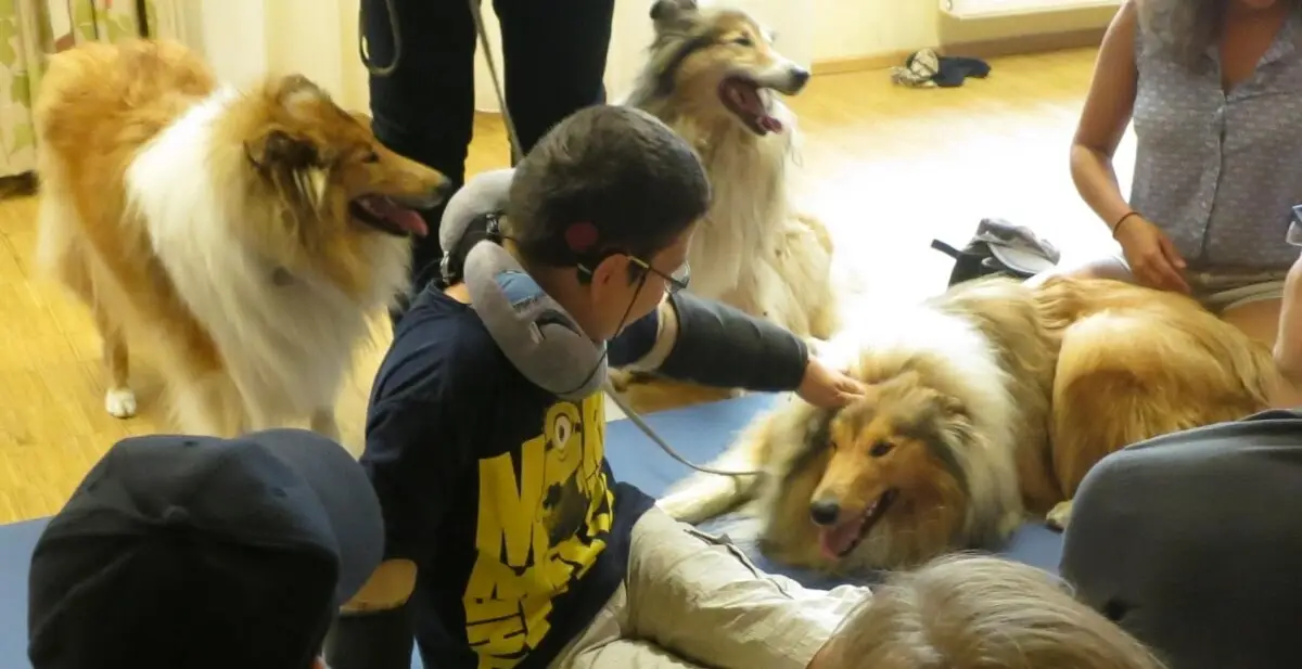 ferienohnehandicap-camp-II-2017_hunde_045