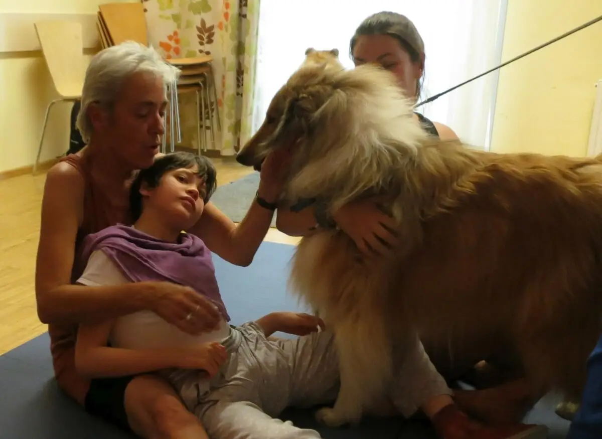 ferienohnehandicap-camp-II-2017_hunde_047