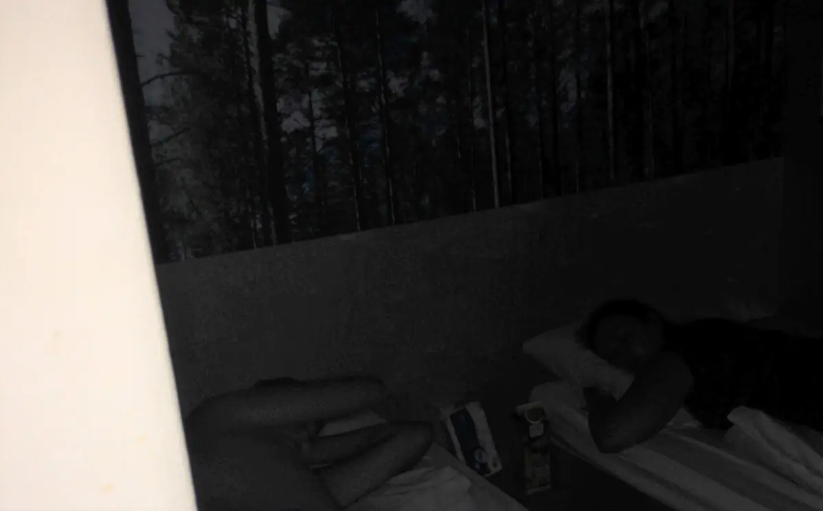 ferienohnehandicap-camp-II-2017_hunde_049