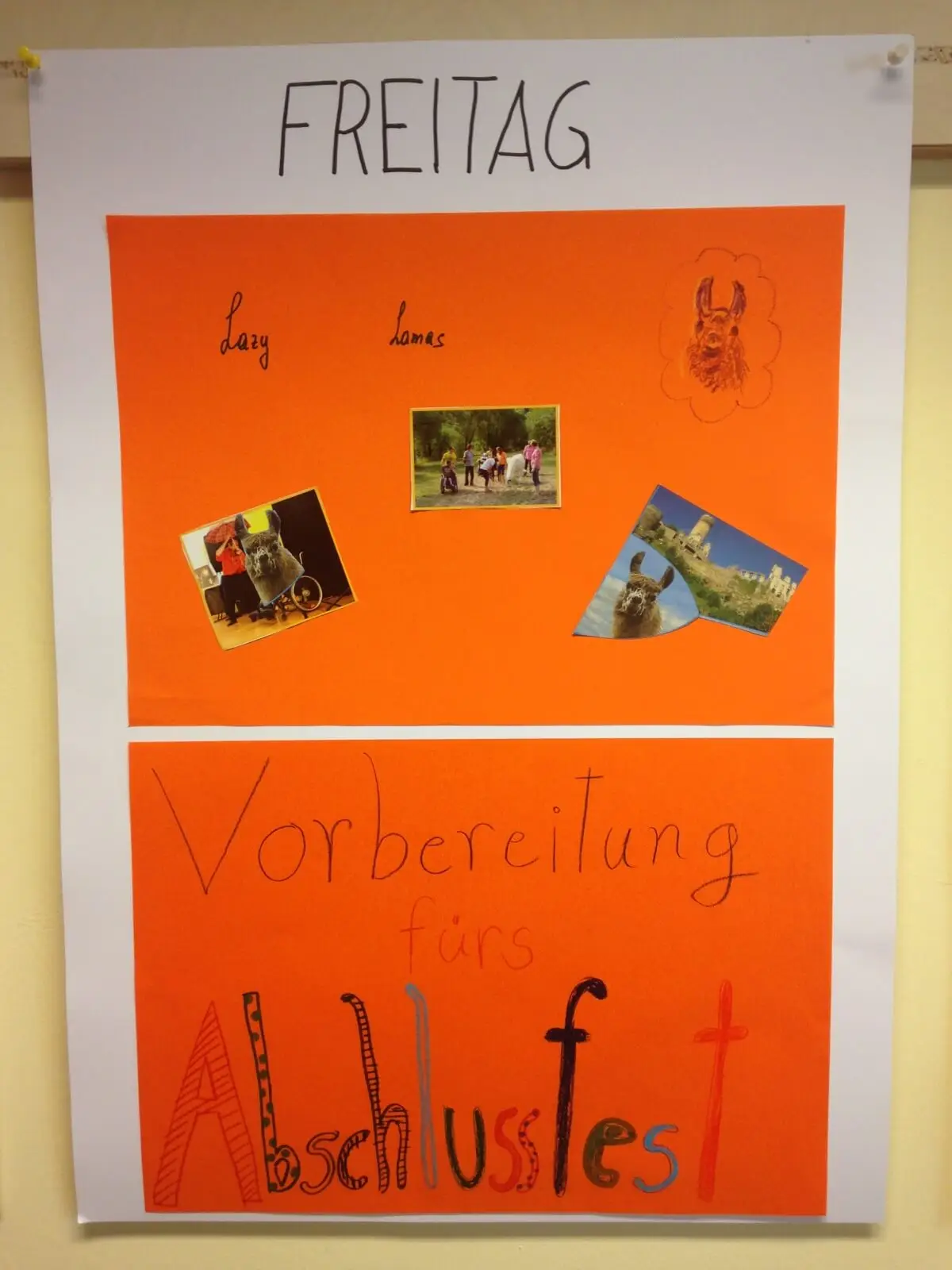 ferienohnehandicap-camp-II-2017_lamas_001