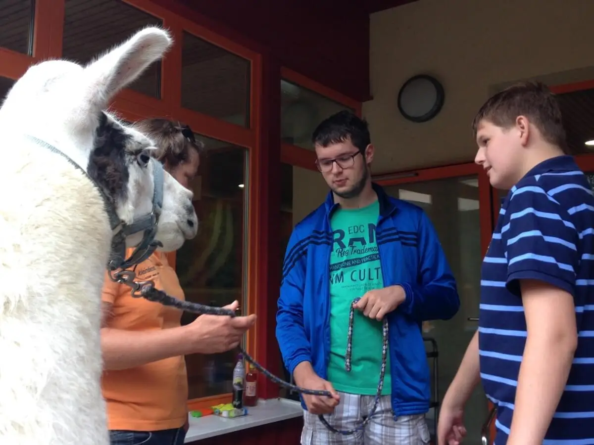 ferienohnehandicap-camp-II-2017_lamas_003