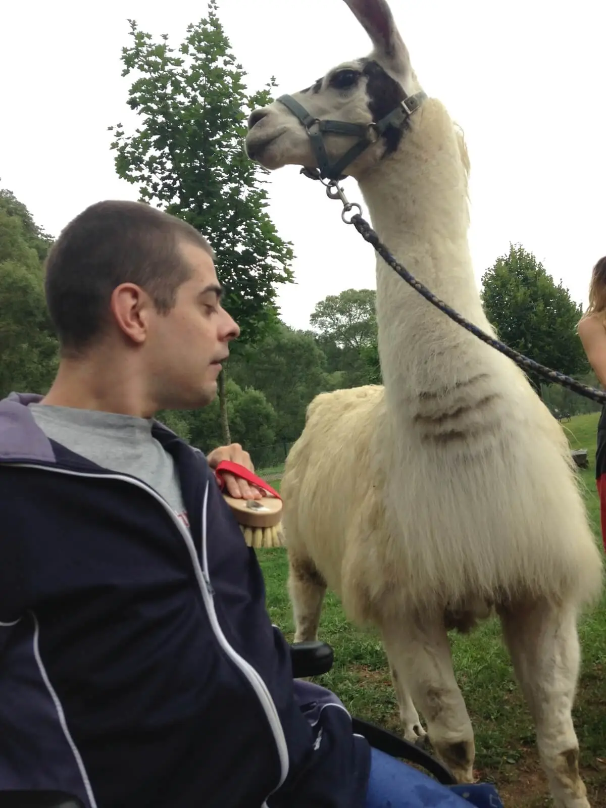 ferienohnehandicap-camp-II-2017_lamas_004