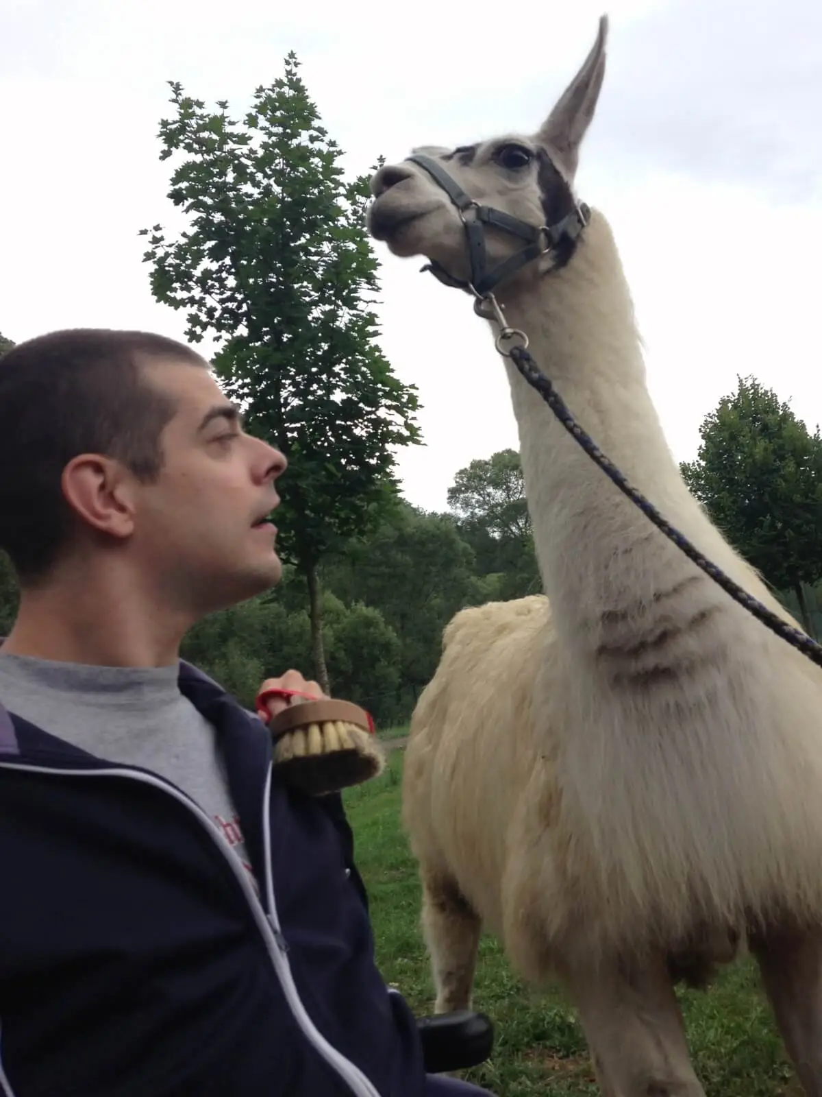 ferienohnehandicap-camp-II-2017_lamas_005