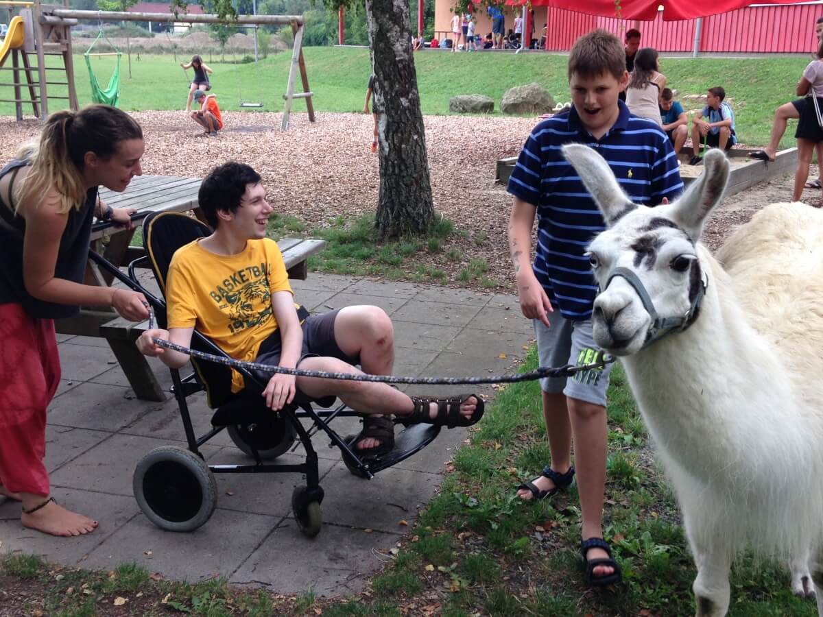 ferienohnehandicap-camp-II-2017_lamas_010