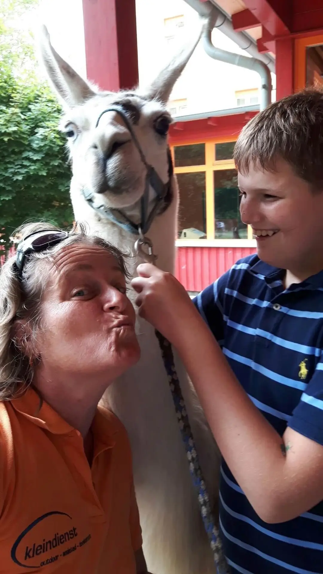 ferienohnehandicap-camp-II-2017_lamas_019