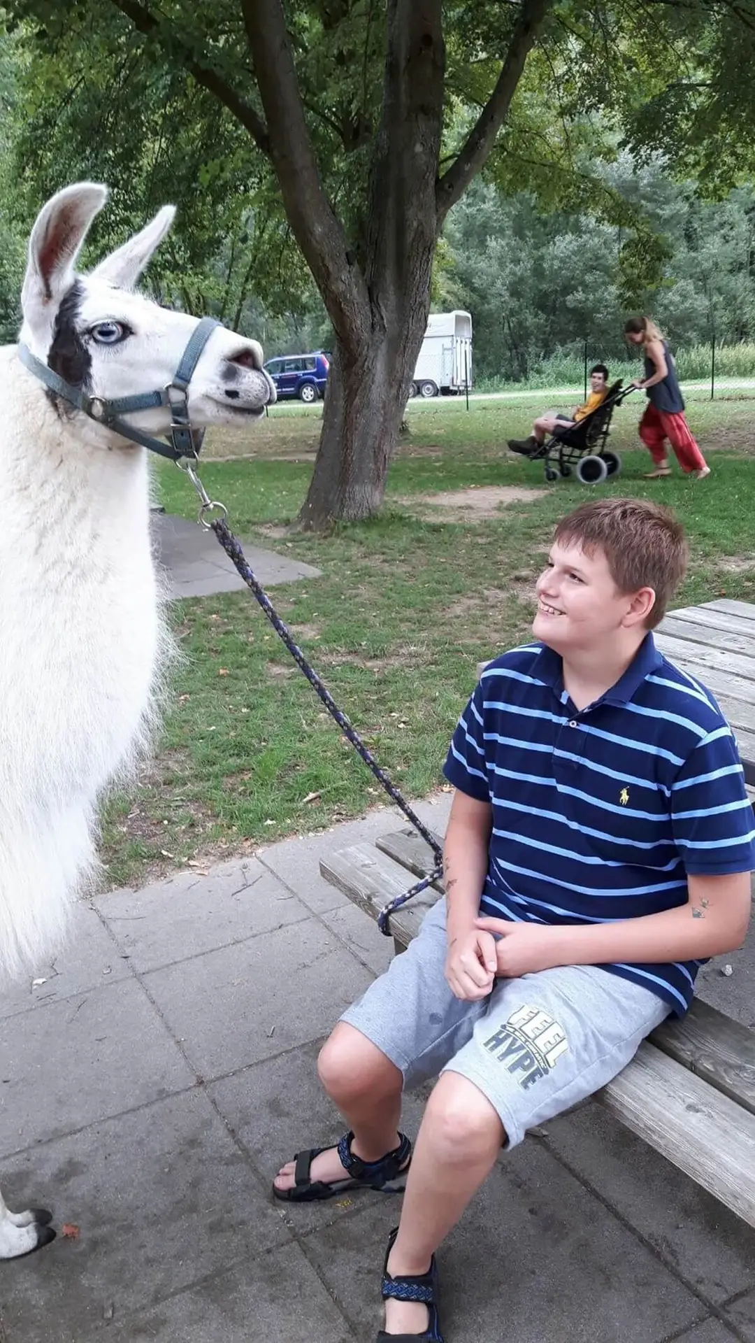 ferienohnehandicap-camp-II-2017_lamas_020