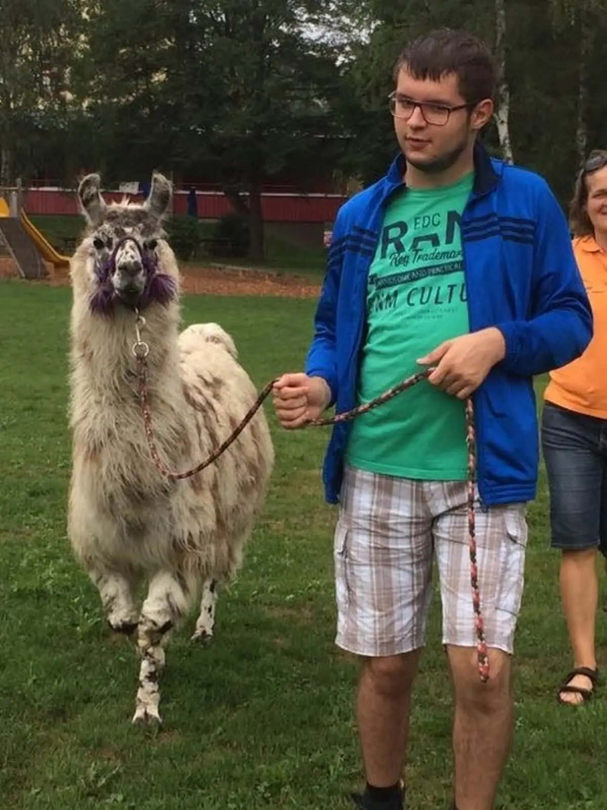 ferienohnehandicap-camp-II-2017_lamas_022