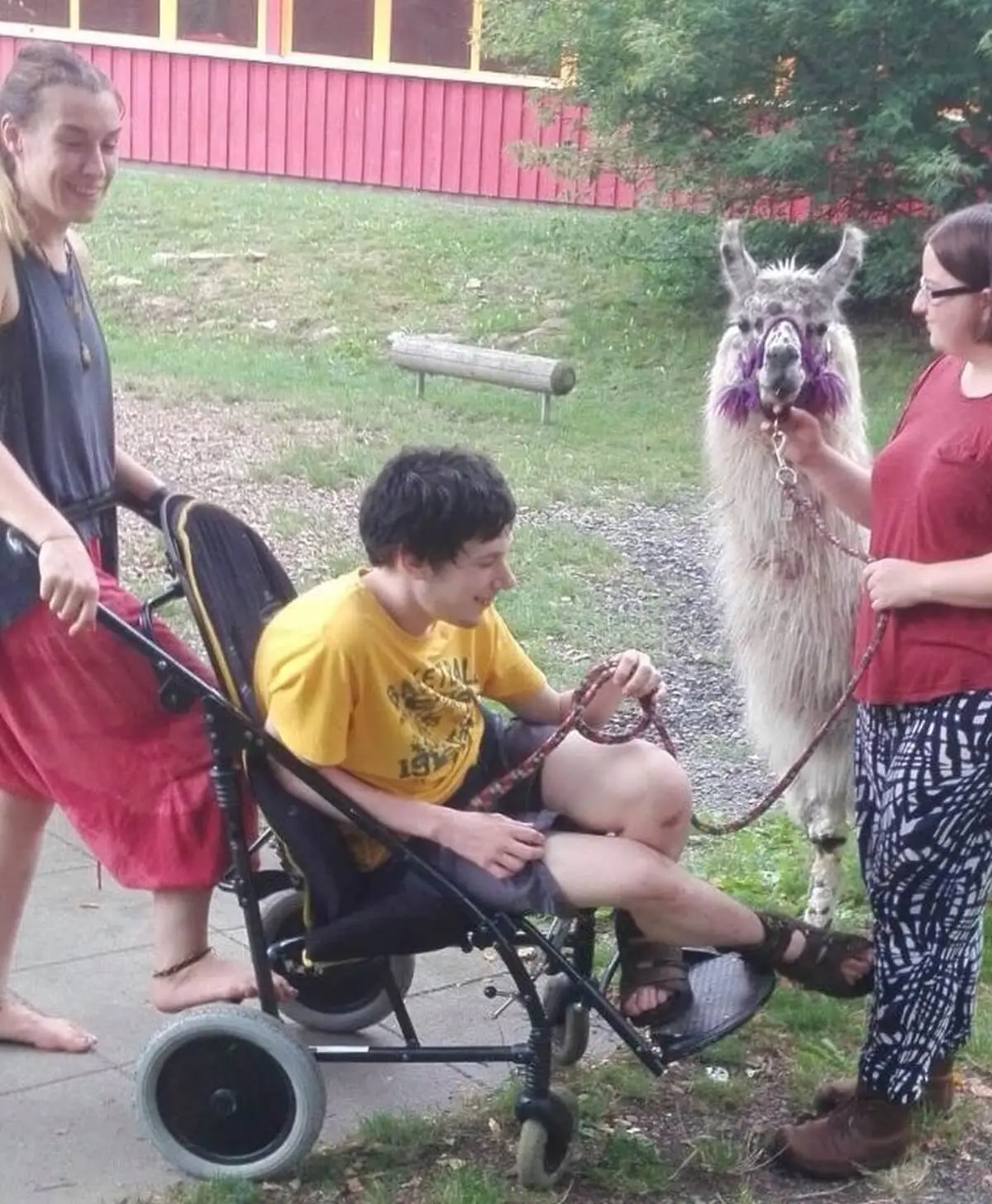 ferienohnehandicap-camp-II-2017_lamas_026