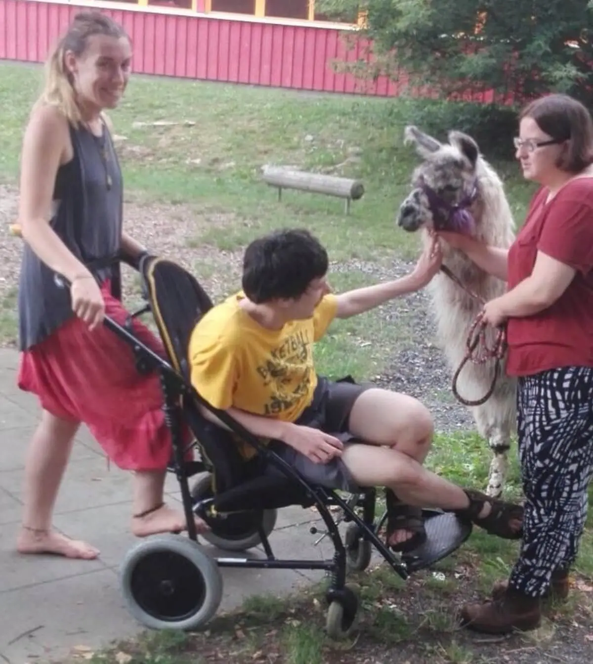 ferienohnehandicap-camp-II-2017_lamas_027