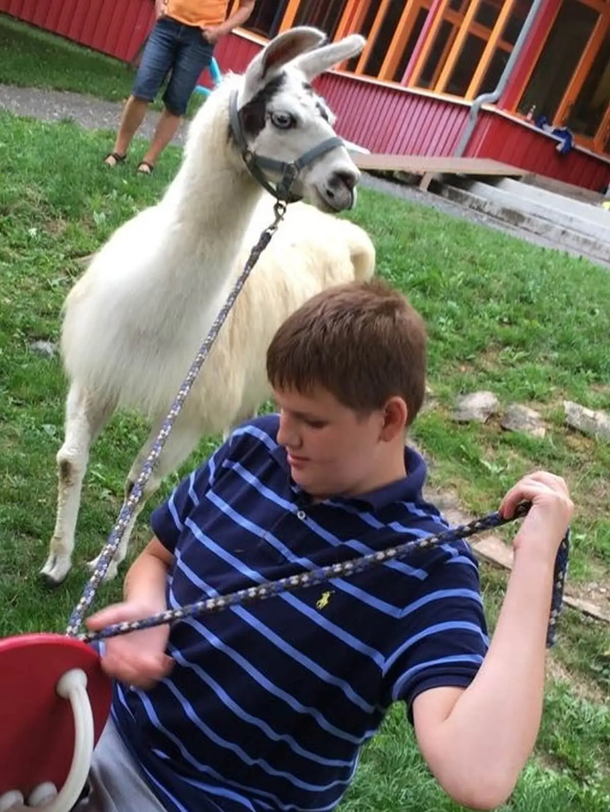 ferienohnehandicap-camp-II-2017_lamas_031