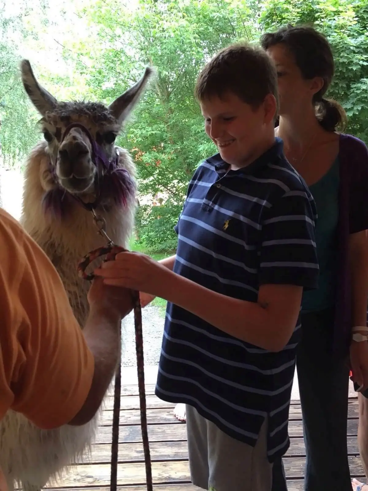 ferienohnehandicap-camp-II-2017_lamas_034