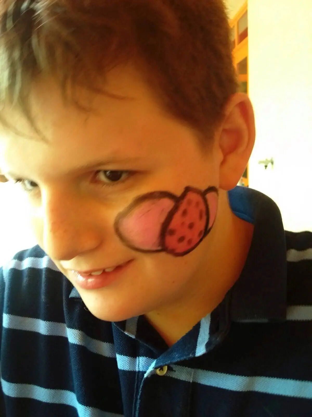 ferienohnehandicap-camp-II-2017_lamas_036