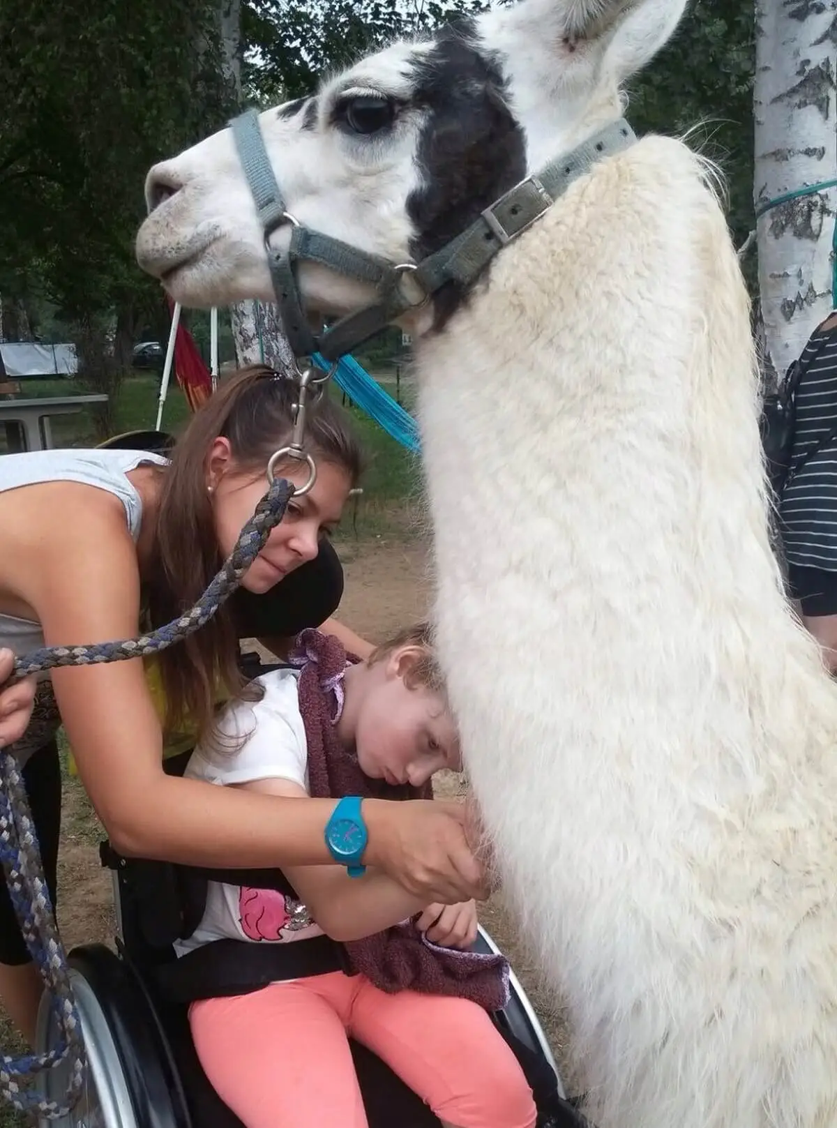 ferienohnehandicap-camp-II-2017_lamas_038