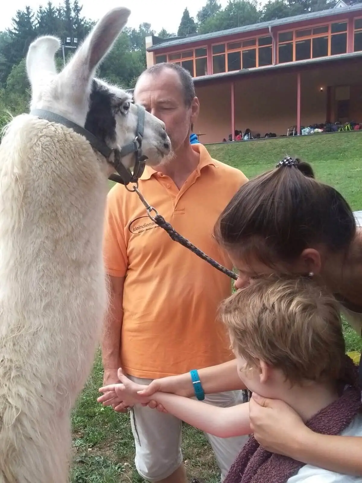 ferienohnehandicap-camp-II-2017_lamas_039