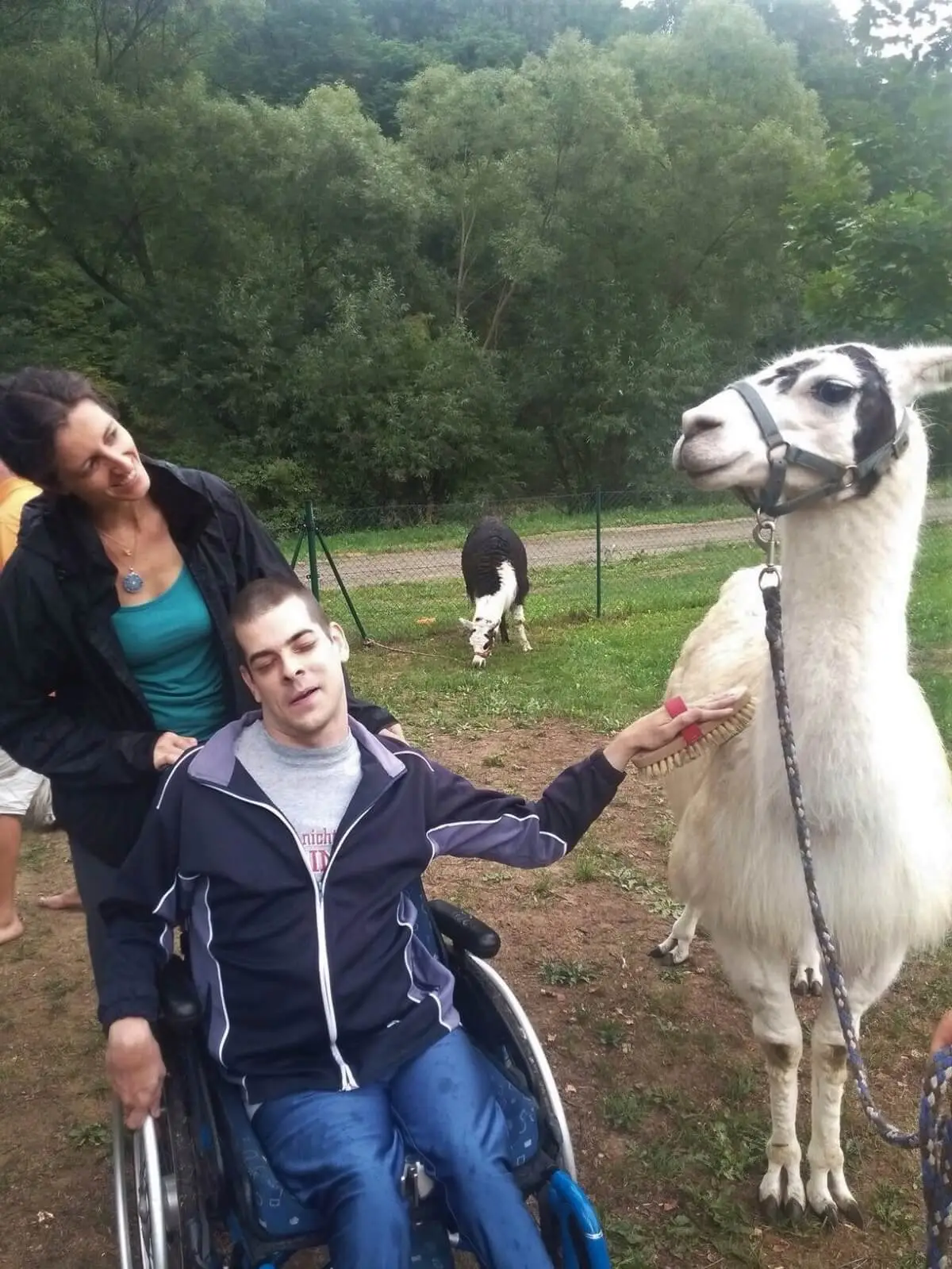 ferienohnehandicap-camp-II-2017_lamas_042