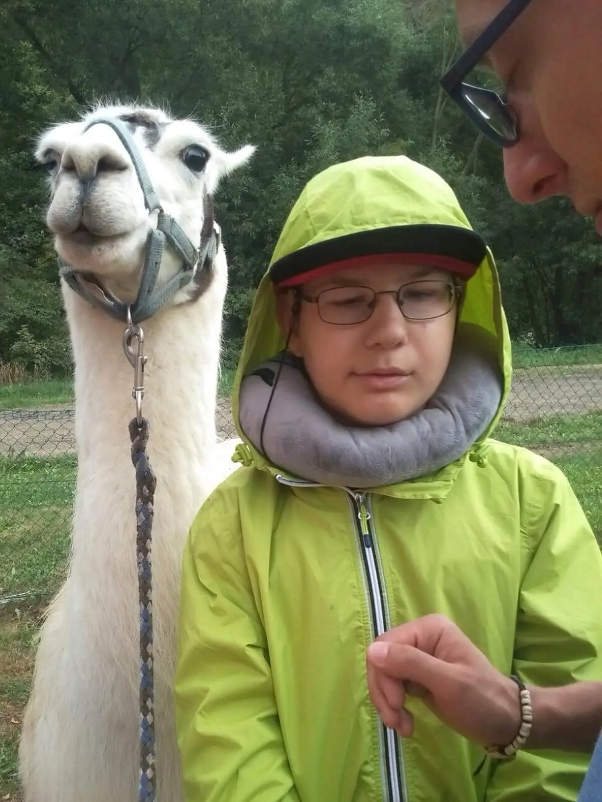 ferienohnehandicap-camp-II-2017_lamas_043