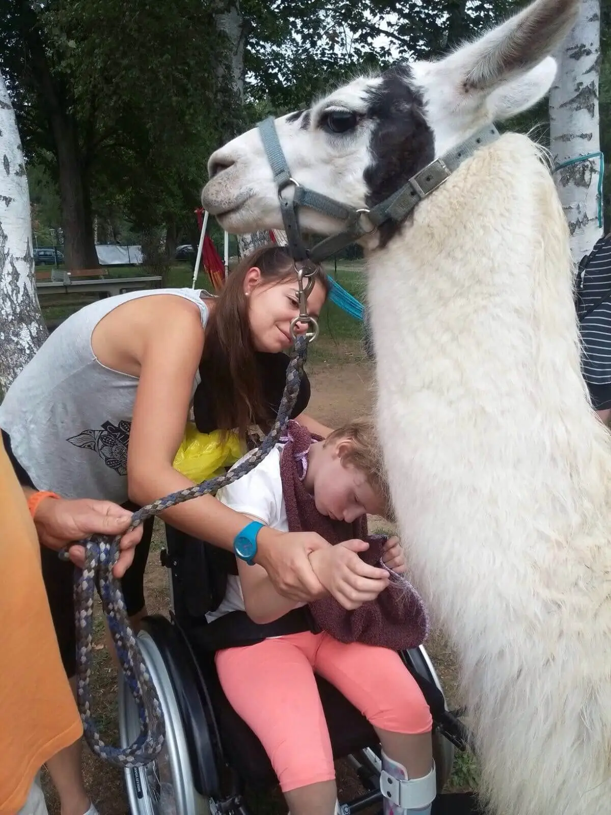 ferienohnehandicap-camp-II-2017_lamas_046