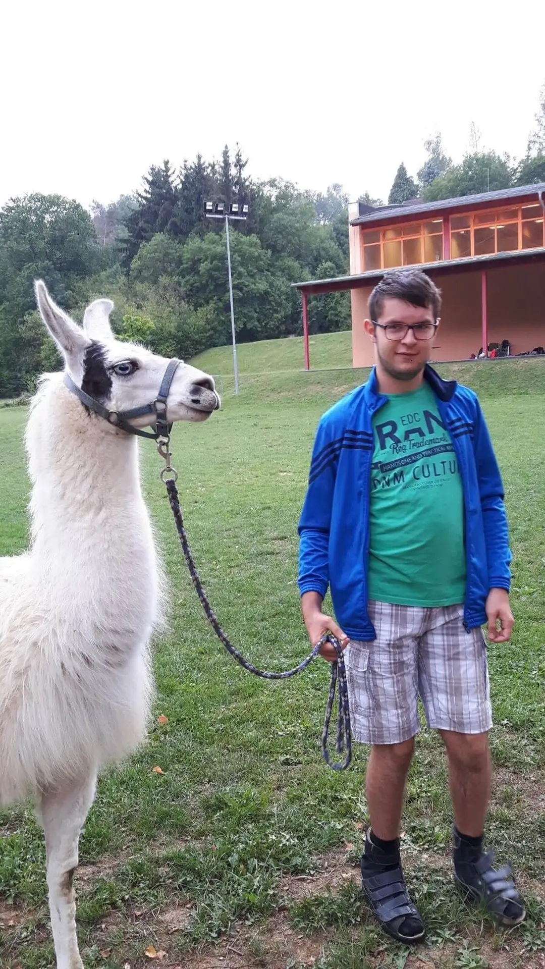 ferienohnehandicap-camp-II-2017_lamas_048