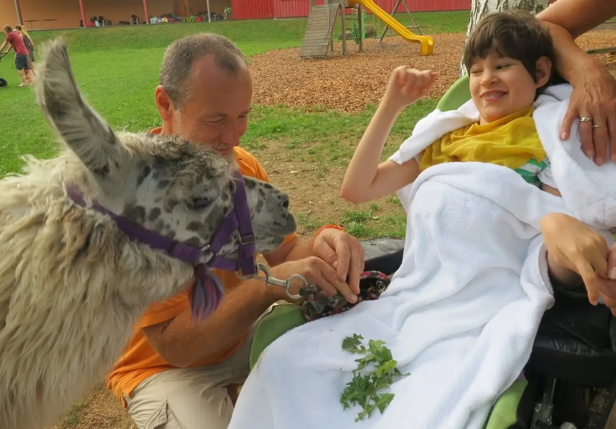 ferienohnehandicap-camp-II-2017_lamas_050